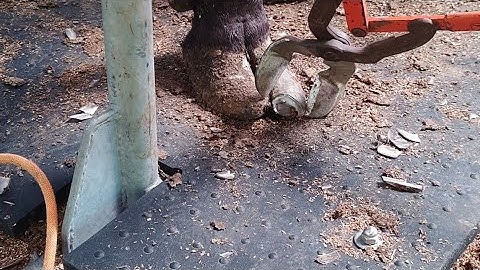 目の回る動画。イージーカッターの出番。2023.10/12