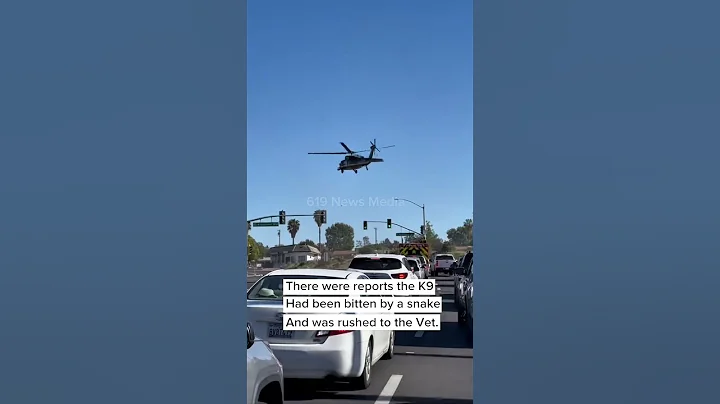 CBP Helicopter Lands in Busy La Mesa Intersection to Rush Injured K9 to Vet Hospital