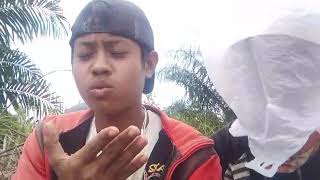 Status wa kekinian bikin ngakak 😂😂😂