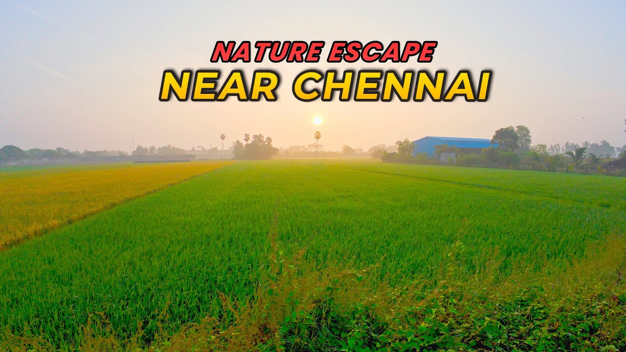 Nature Escape Near Chennai | Kumizhi Lake | Sirudhavoor Lake | Weekend gateway | Chennai #chennai