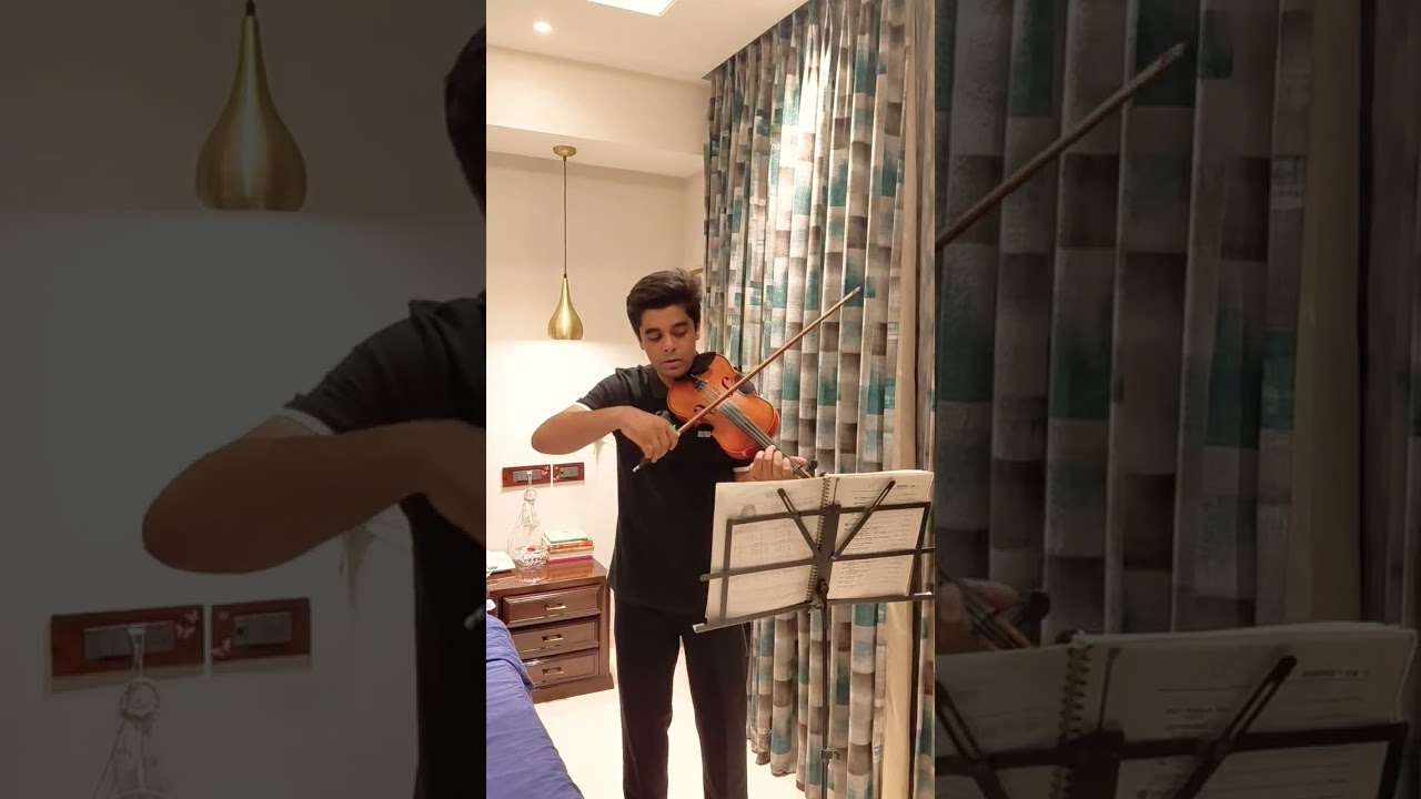 The godfather theme - speak softly love violin cover