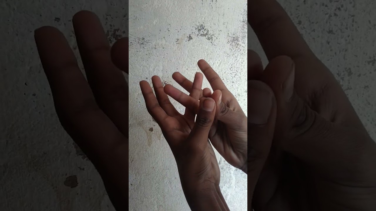 hath se snake tutorial 