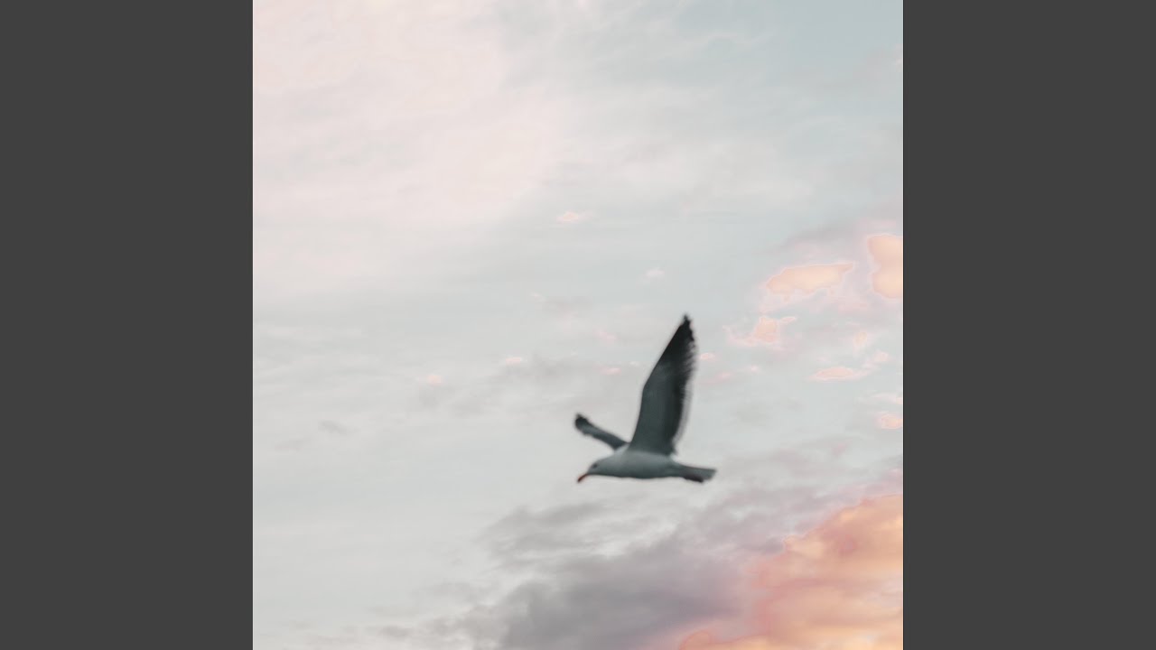 Trumpet Concerto No.1 (Trumpet Town) (feat. Bratislava Symphony Orchestra & Johan Plank)