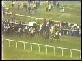 1980 William Hill Scottish National Handicap Chase - YouTube