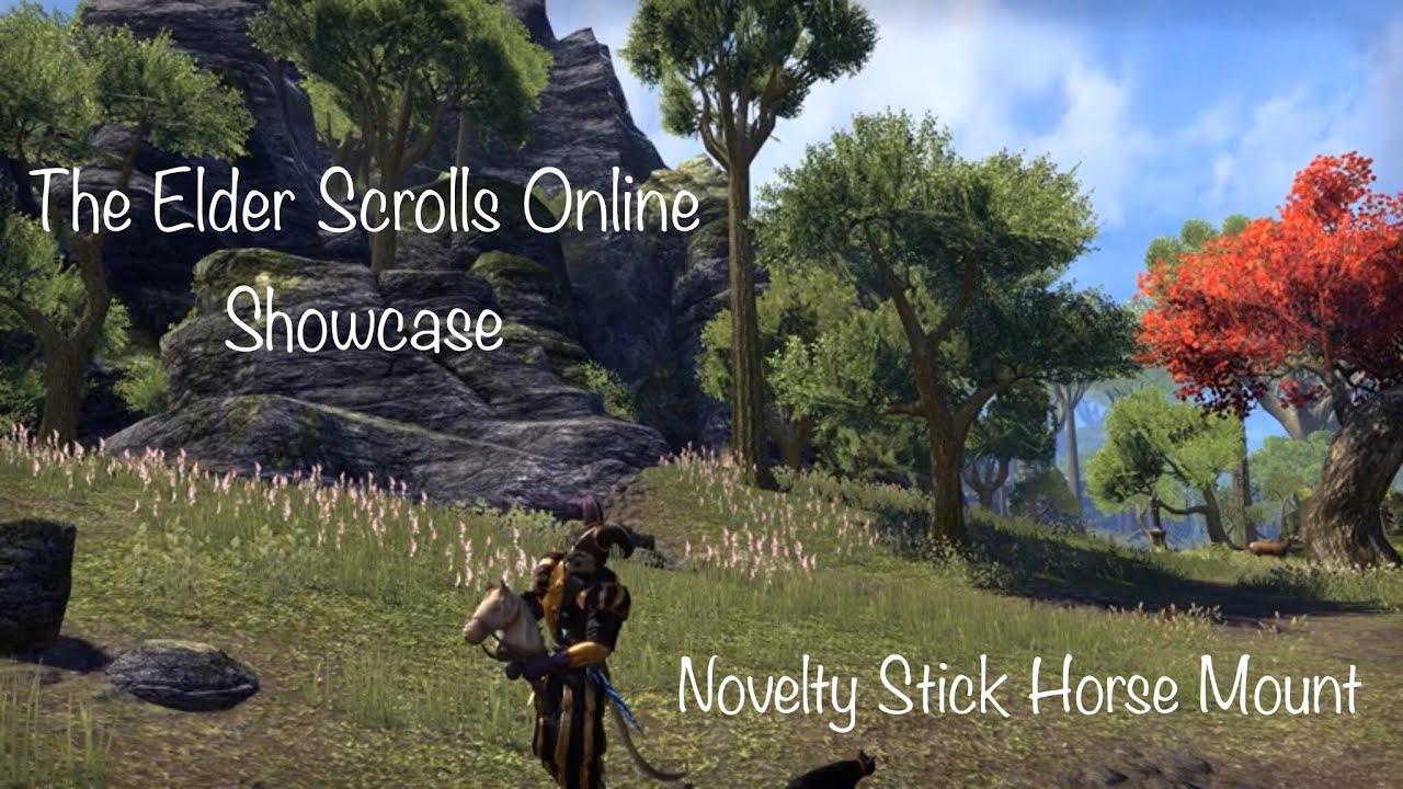 Novelty Stick Horse Mount YouTube