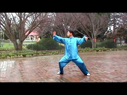 Chen Style Tai Chi 56 Form
