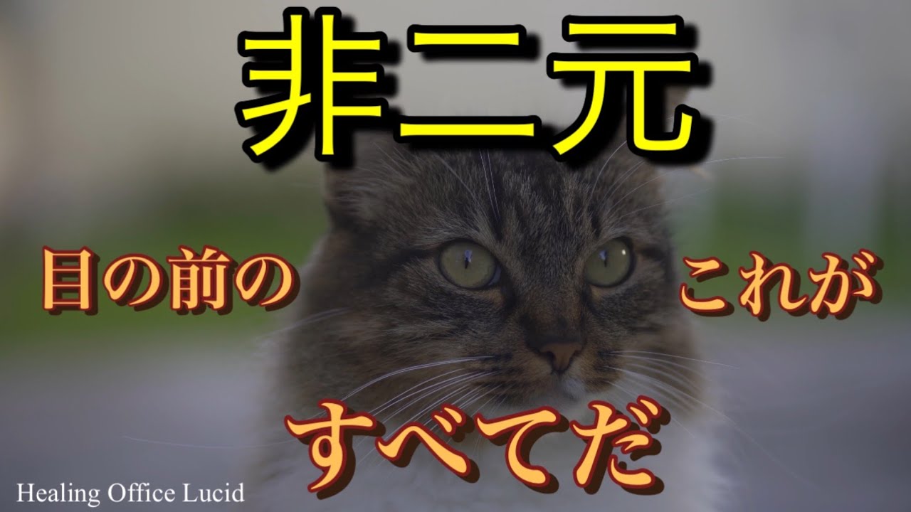 【非二元】非二元から学ぶ賢い生き方 - YouTube