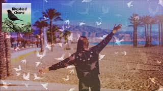 Lucas & Steve - Source (Audio)