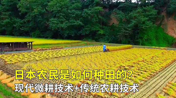 日本農民是如何種田的？現代微耕技術+傳統農耕技術，不得不服！ - 天天要聞