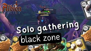 I gathering in black zone 1 hour how many profit i can do? [Albion online East]