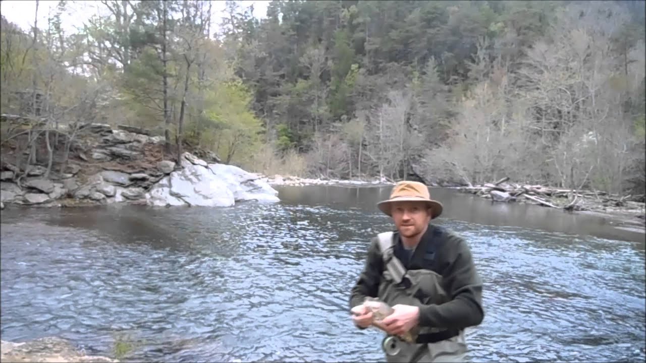 Fly Fishing the Great Smoky Mountains YouTube