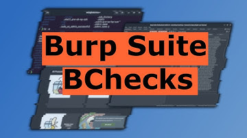 Burp BChecks: Creating A Simple Host-Based Check For robots.txt