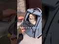 嫌いな検査も点滴も頑張ったのにご褒美が少なくてリュックから怒りのパンチ炸裂な猫【保護猫ほっぺたろう】#shorts #cat