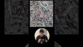 Camouflage