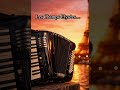 Les Champs-Elysées #akordeon #roland #akordeonista #acorrdion #france