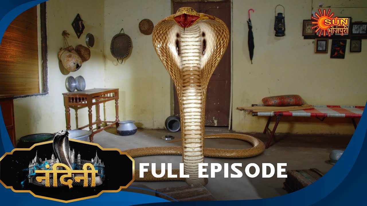 Nandini - Episode 281 | Bhojpuri Naagin show | Sun Bhojpuri | Bhojpuri Serial