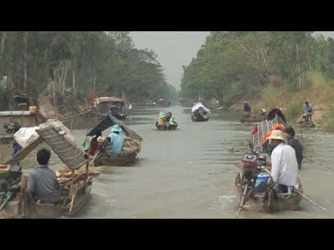 Đội quân cào hến  Mussel catchers