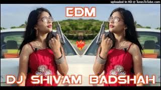 GOLI DHAYE DHAYE ❌ EDM BOOM BASS 🔥 DJ SHAILENDRA DADA MAURANIPUR 🔥 DJ SHIVAM BADSHAH