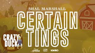 Shal Marshall - Certain Tings (Crazy Duck Riddim)