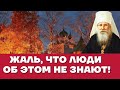 Жаль, что люди об этом не знают! Тайна души человеческой - Николай (Могилевский)