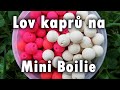 Lov kapr na mini boilie jahoda scopex tuk method kapraina