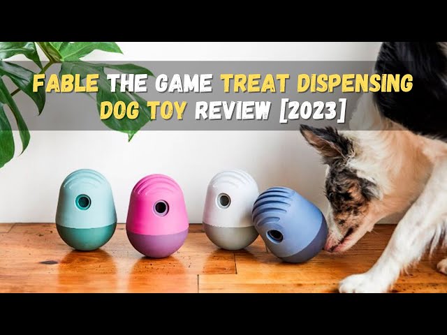 FABLE The Game Treat Dispensing Dog Toy - Review [2023] 