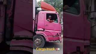 cargo truck 🚛 delivery store #shortvideo #viralvideo #dilveryargotruck