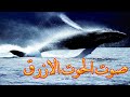 صوت الحوت الازرق الذي سمعه الناس في مصر والجزائر وليبياوالضبعه