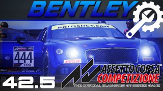 Assetto Corsa Competizione Bentley Continental setup at Hungary Acc Bentley Hungaroring Setup