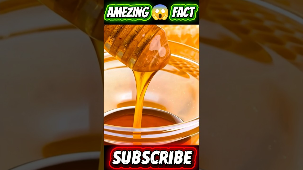 TOP 5 AMEZING 😱 FACT #amazingfacts #worldfacts #trendingshorts #viralvideos #growth #viral