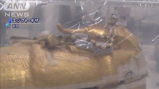 甦れ！ツタンカーメン黄金の棺・・・長年の劣化を初修復(19/08/05)