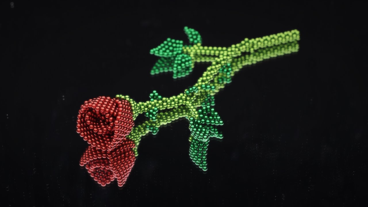 520, DIY a magnetic rose ( Zen Magnets, Neoballs, Buckyballs, Nanodots, getspeks, speks, magnet )