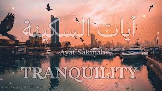 آيات السكينة لدفع القلق والهموم | AYAT OF TRANQUILITY - SAKINAH