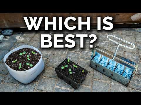 We Tested The 3 Most Popular Seed Starting Methods