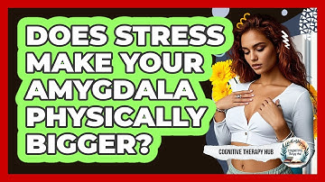 Does Stress Make Your Amygdala Physically Bigger? - Cognitive Therapy Hub