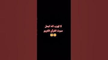 لا تهرب انه اجمل صوت القرآن الكريم  🤲🤲
