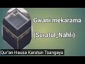 Suratul Nahli Gwani Shu Aibu Mai Karama Kano