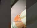 火锅爸爸你看怎么办吧?!万物可爱计划养宠人不苦夏