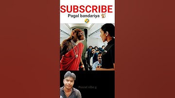 monkey video😱🤣 #shorts  #monkeyvlog #funny #monkey