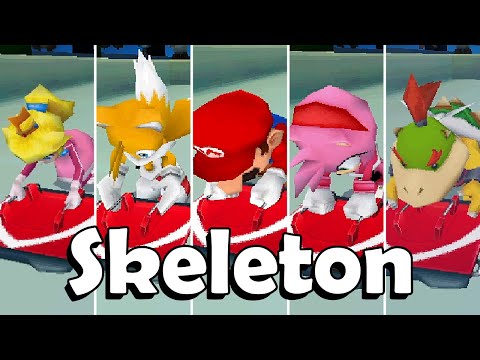 Mario Sonic At The Olympic Winter Games DS Skeleton All Characters