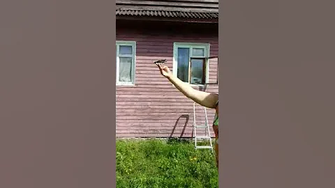 Учим летать птенца ласточки