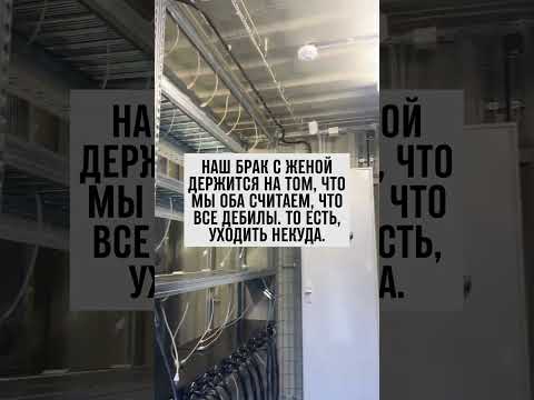 Брак на взаимопонимании: куда уходить, если все вокруг 'не такие'? #юмор #отношения