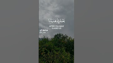الشيخ القارئ محمد الفقيه قرآن كريم