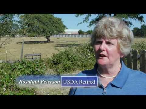 Why in The World Are They Spraying [Full Documentary HD]