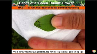 Green Thumb Grower Habit #11:  Get Over Fear