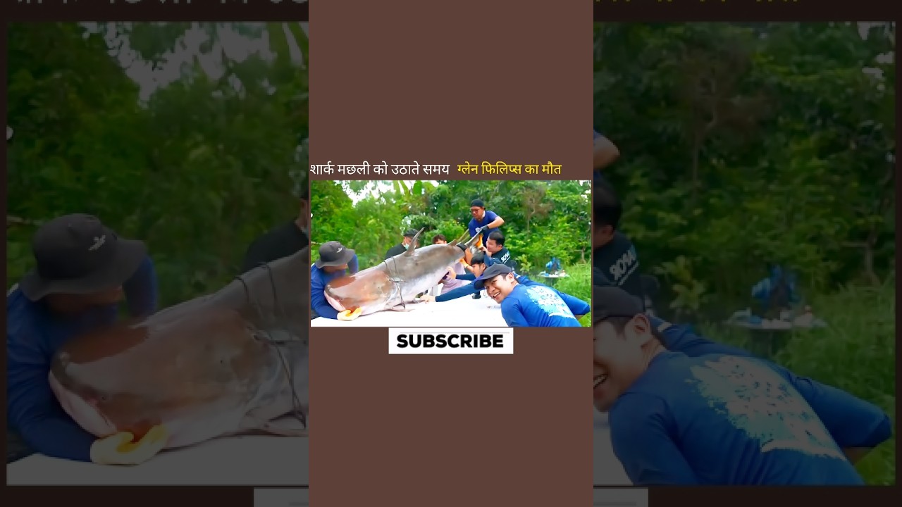 सार्क को उठाते समय ग्लेन फिलिप्स का मौत 😱 #aivideo #facts #shortvideo #shortsfeed#fish#fact#youtube