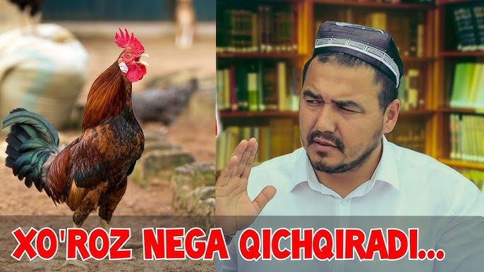 Porno studiyalar barcha kataloglar Porno guruh video