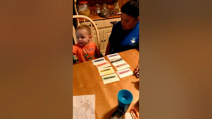 PEGGY WILKINS CHAVIS teaching old grandson his col...