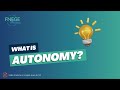 What is autonomy?