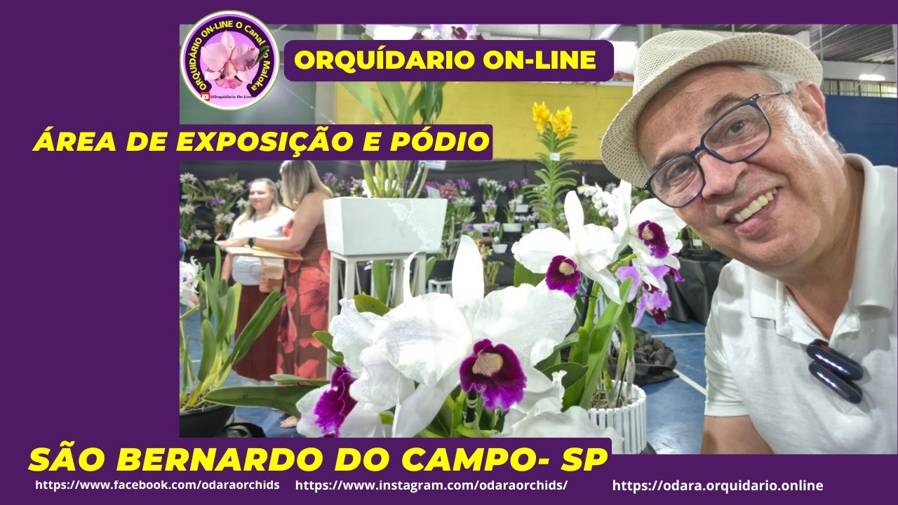 Área de Exposição de Orquídeas de São Bernardo do Campo Ficou muito bonita  Pódio das Campeãs